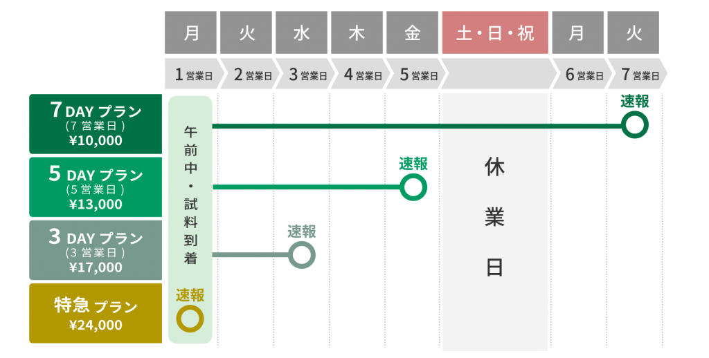 納期
